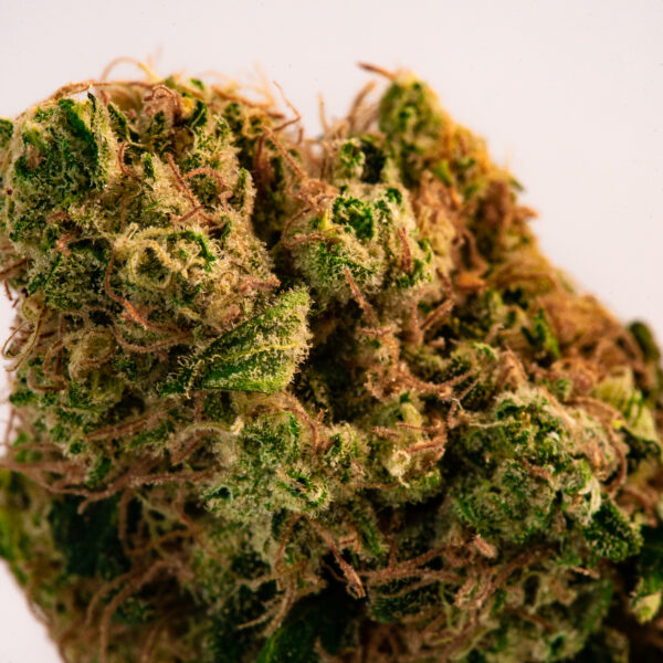 close,up,prescription,medical,marijuana,flower.,cbd,cannabis,bud,photography