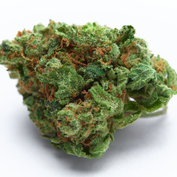 close,up,of,venom,og,medical,marijuana,bud,isolated,on